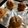 Toctopus's cooksnap of when they made チーズパン.