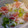 クックJMXHYH☆'s cooksnap of when they made 作り置き♪新玉ねぎとそら豆、生ハムマリネ.