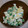 よぉぎゅると's cooksnap of when they made えんどう豆の卵とじ.
