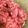 さこあ's cooksnap of when they made ネギトロ全部混ぜちゃえ！.