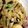 クック75J0LW☆'s cooksnap of when they made 切り干し大根の煮物.