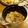 ✳︎izumi✳︎'s cooksnap of when they made 鶏レバーのアヒージョ風？.