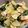 Nori0616's cooksnap of when they made 簡単◎あったか♪大根とベーコンの煮物.
