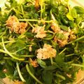 ♪ミチル♪'s cooksnap of when they made シャキシャキ！簡単豆苗のツナ和え.