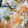 ayanami210's cooksnap of when they made アジの南蛮漬け.