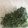 ゆかりりりー's cooksnap of when they made 豆苗の冷凍保存.