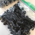 kokodako's cooksnap of when they made ブルーべリーの冷凍ストック.