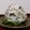 まやしゅうまま's cooksnap of when they made イライラ解消♪しらすと大葉の胡麻おにぎり.