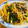 ボブナナ's cooksnap of when they made ★簡単！じゃがいもとピーマンの牛肉炒め★.