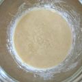 Zuckoro's cooksnap of when they made ホシノ天然酵母＊丹沢酵母・生種.