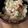 no1642's cooksnap of when they made 朝食にも！焼き肉のタレチャーハン.