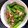 ミスティmisty's cooksnap of when they made 超簡単！絹さやとツナの炒め物.