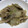 なっころ5's cooksnap of when they made 白菜とツナの簡単うま煮.