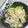 クックGB6431☆'s cooksnap of when they made 即席簡単★レンチンねぎ塩豚キャベツ.
