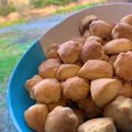 漢方薬屋の孫娘's cooksnap of when they made 簡単＊袋1つでスコーンクッキー.