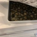 Tayuneko's cooksnap of when they made あさりの砂抜き【プロのコツ付き】.