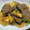 machi5111's cooksnap of when they made 牛肉と筍の生姜炒め.
