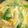 ☆megunyan☆'s cooksnap of when they made 野菜たっぷり我が家の定番中華スープ☆.