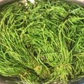 アチャこ's cooksnap of when they made 木の芽（アケビのツル）の食べ方♪.