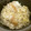 ʕ•̫͡•ʕ•̫͡•'s cooksnap of when they made 筍とツナの炊き込みご飯.