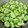 さやさ～や's cooksnap of when they made 青臭さをなくすそら豆の茹で方.