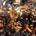 ママメイン！時々子供's cooksnap of when they made ひじきの煮物。（電気圧力鍋３分）.