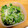 しゅんのま's cooksnap of when they made 豆もやしとパクチーのタイ風サラダ.