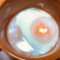 りえっくす♡'s cooksnap of when they made レンチンで簡単☆温泉卵の作り方(改訂版).