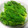 msy0730's cooksnap of when they made 山菜「たらの芽」の下処理～お浸し.