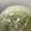 kokodako's cooksnap of when they made 長持ち！キャベツの保存方法☆.