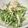 yummy?'s cooksnap of when they made 水菜と豆腐とツナのサラダ.