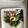 クックUYIZK3☆'s cooksnap of when they made フライパン1つでヘルシーな簡単お通し！.