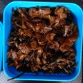 小麦粉【100g】's cooksnap of when they made つくしの佃煮.