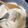 クックNC2XWW☆'s cooksnap of when they made きなこ豆腐もち　おやつに！おかずに！.