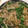 クックH64YNP☆'s cooksnap of when they made 簡単、安上がり、オイスターソース焼きそば.