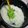 クックAYESFL☆'s cooksnap of when they made 簡単うまいバターチキンカレー！.