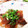 クッキン坊主's cooksnap of when they made １合分量～簡単お寿司の酢飯♡.