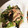 水玉ぱじゃま's cooksnap of when they made 豆苗と舞茸のレモン炒め♡.
