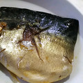 ★ＴＯＭＯ☆'s cooksnap of when they made 塩サバでも♪定食屋さんのサバの煮つけ.