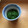 haruterin's cooksnap of when they made よもぎの下処理.