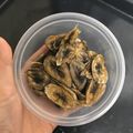 なみか☆'s cooksnap of when they made バナナチップ.