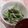 IZU1216MI☆'s cooksnap of when they made ネギ好きのためのほうれん草ナムル☆.