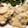 ミルミルNZ's cooksnap of when they made 豚ロースステーキきのこのクリームソース.