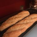 Emmabeagle's cooksnap of when they made HB✩手作りライ麦20%バゲット.