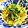 ウィリーママ's cooksnap of when they made １０分でできる! 水菜のカレー炒め.