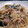 いつか料理上手☆'s cooksnap of when they made きのこ和風パスタ.