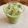 guccccchi's cooksnap of when they made ☺粉末青汁で簡単♪節約スムージー☺.