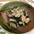 ぴーはるまま's cooksnap of when they made 茄子とツナの煮浸し.