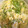 クック5NOFPV☆'s cooksnap of when they made 優しいね。あげの卵とじにゅうめん。.