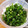 よしのそ's cooksnap of when they made 小ネギの保存[冷蔵].